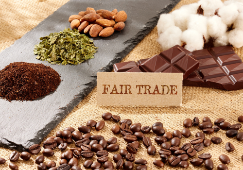 Untitled design (21)