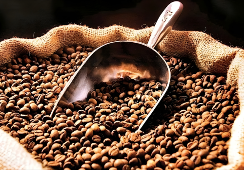 Untitled design (83)