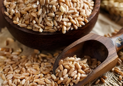 Untitled design (86)